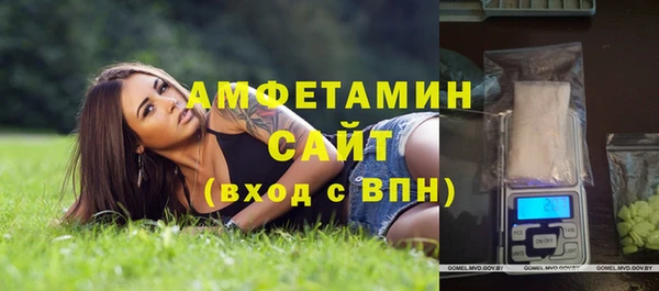 прущие грибы Абаза
