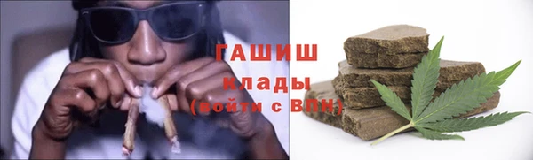 прущие грибы Абаза