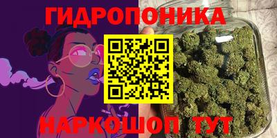 не бодяженный Бийск