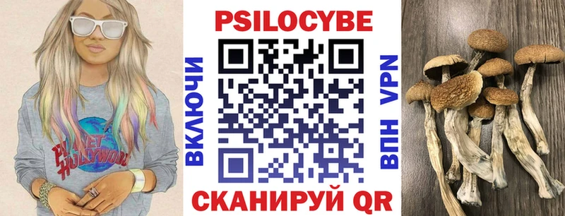 Галлюциногенные грибы MAGIC MUSHROOMS  blacksprut вход  Заволжье 