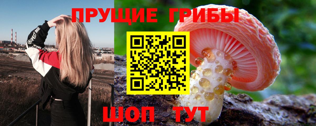 Псилоцибиновые грибы MAGIC MUSHROOMS  Вход с VPN  Заволжье 