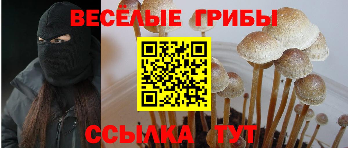 Галлюциногенные грибы прущие грибы Заволжье